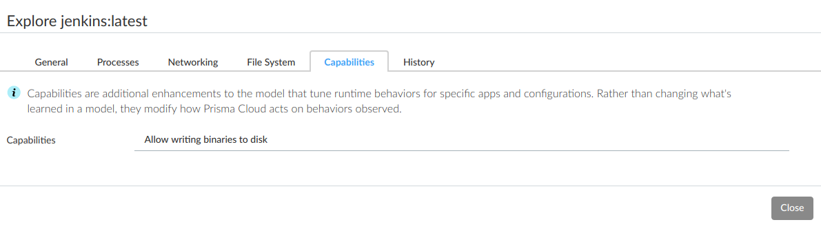 runtime defense overview container model capabilities